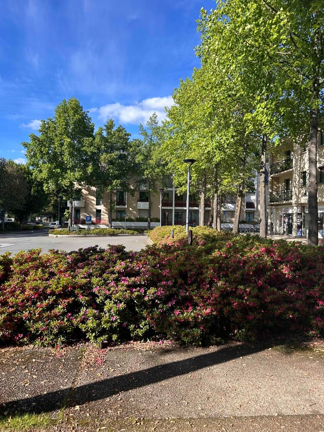 Vue éloignée de l'avenue Auguste Brizeux menant au cabinet